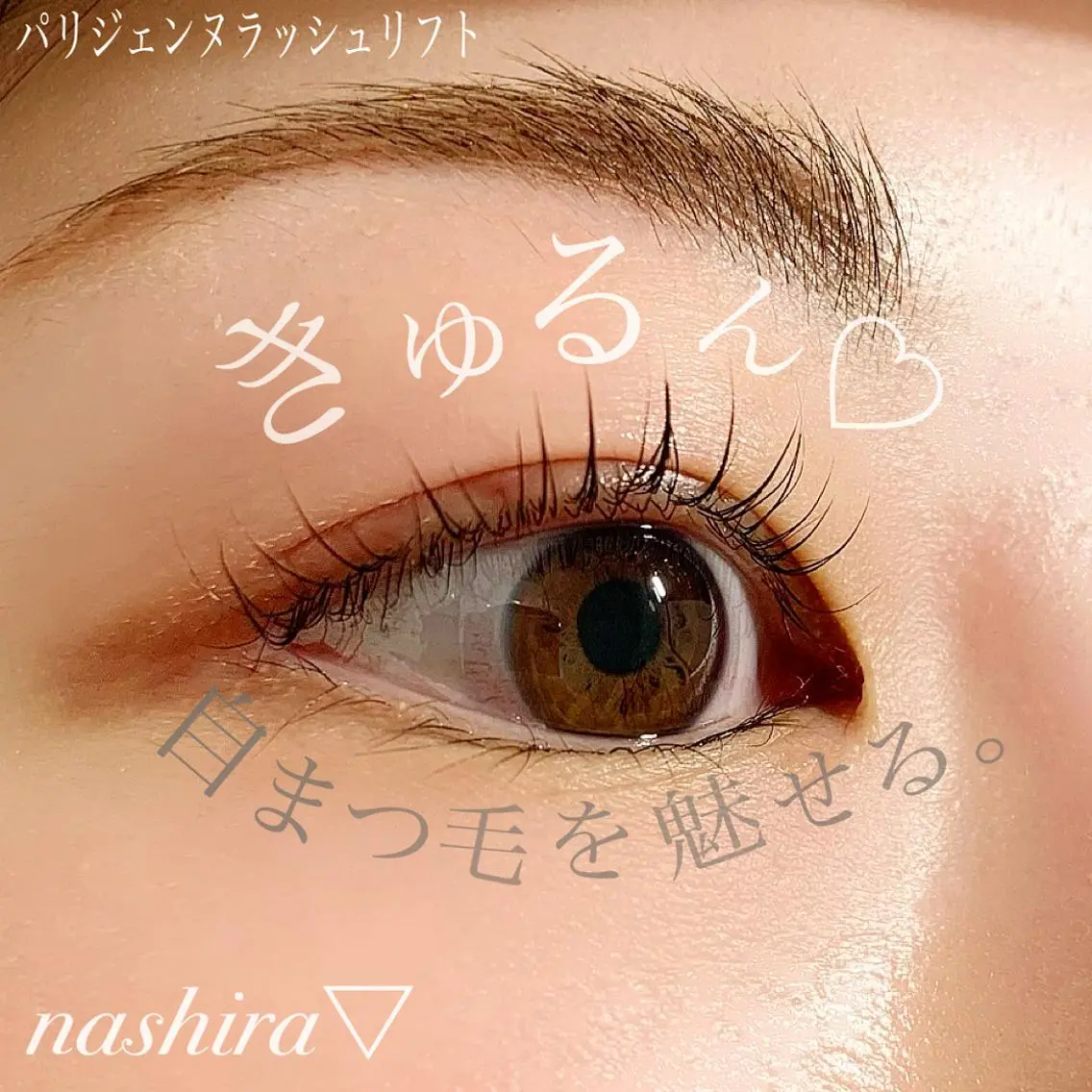 マツエク・マツパ パリジェンヌラッシュリフト 一重×まつ毛パーマ nashira恵比寿 まつ毛&眉毛サロンのマツエク・マツパデザイン