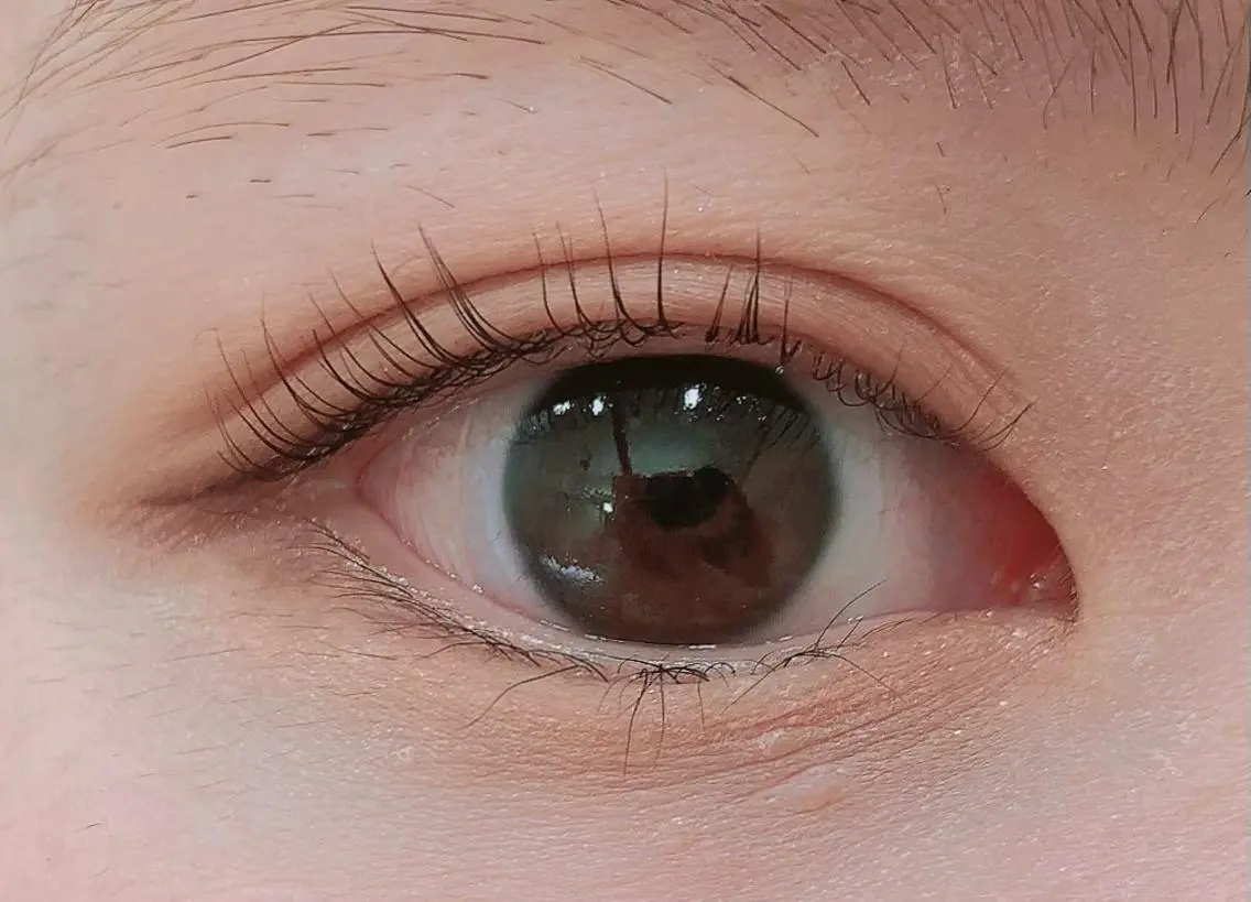 マツエク・マツパ マツパ FUKO Hip's eyesのマツエク・マツパデザイン