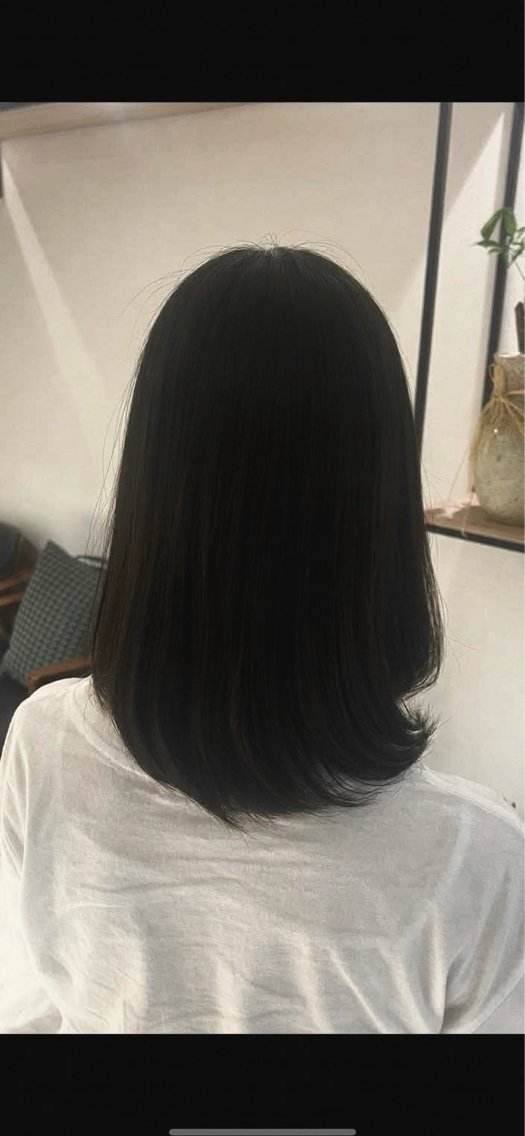 透明感のあるワンカラーの写真