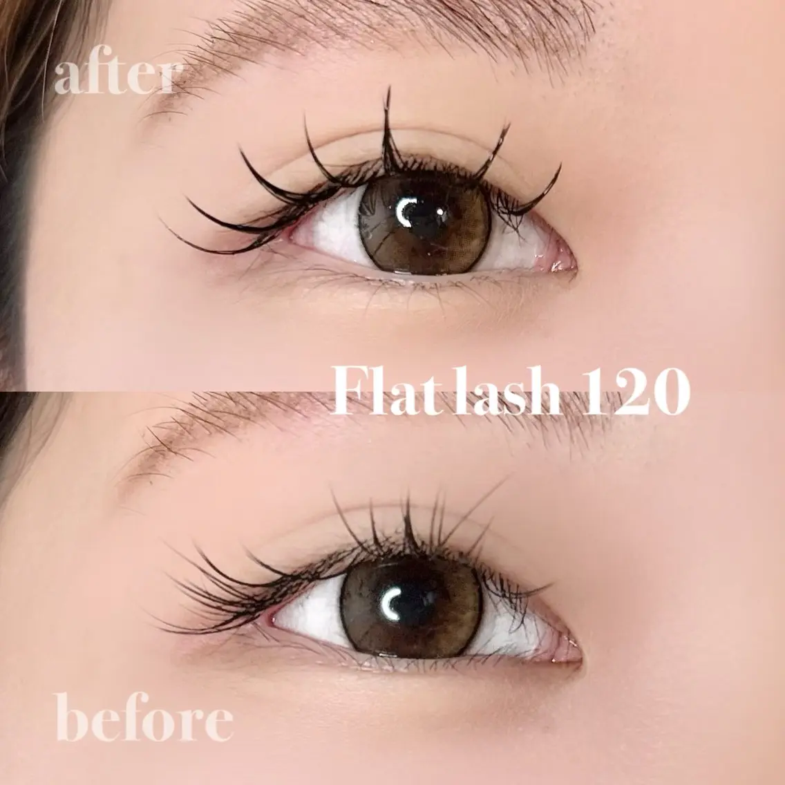 マツエク・マツパ フラットラッシュ 目尻長め マツエク elua eyelashの眉毛・アイブロウイメージ