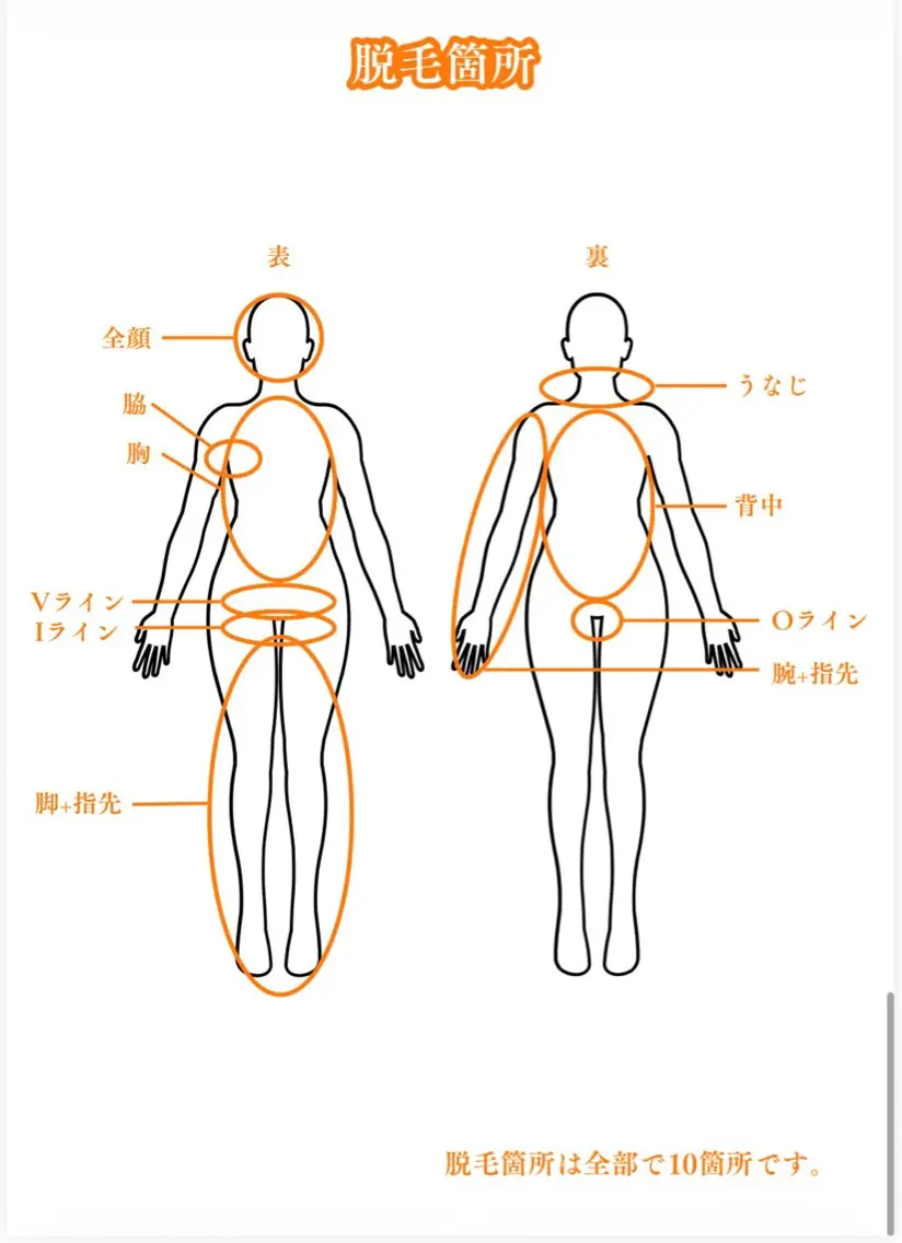1部位脱毛(脚orピップor腕or背中orお腹+胸)の写真