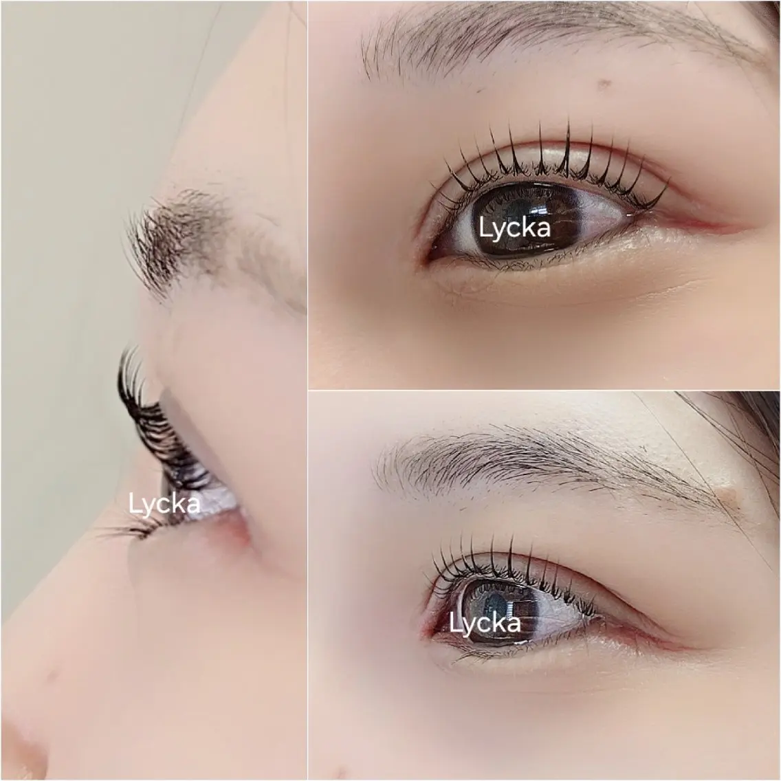 マツエク・マツパ lash&brow Lyckaのマツエク・マツパデザイン