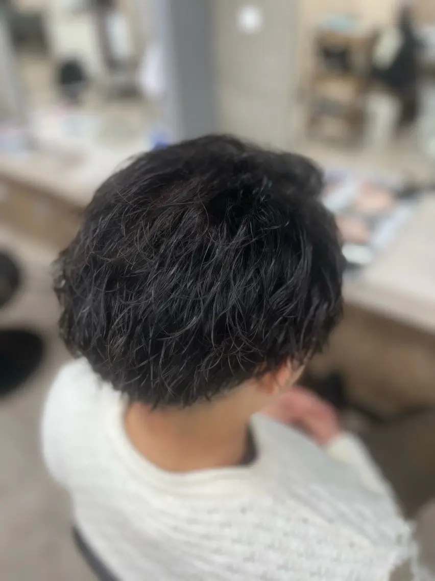 パーマ メンズ カット パーマ トリートメント 多系統似合わせ/ tsuburaのヘアスタイル