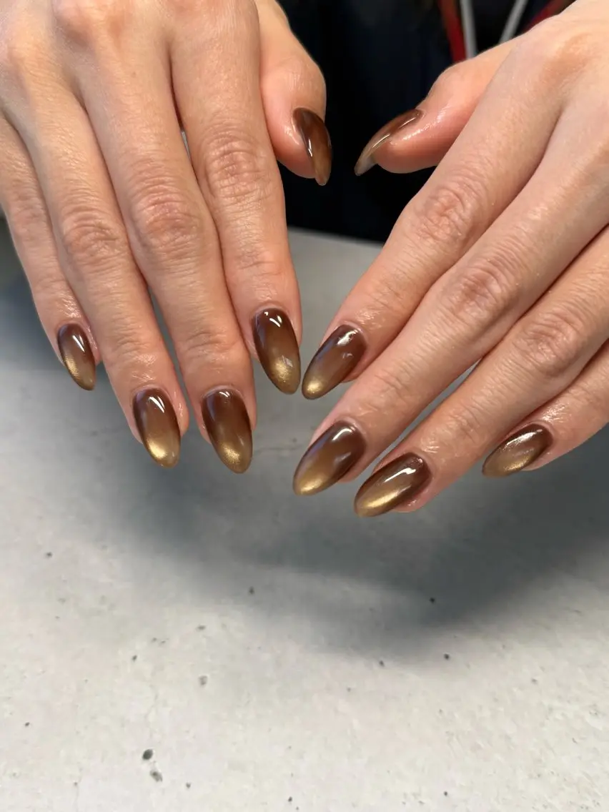 ネイル ブラウン ロングネイル マグネットネイル nailroom amyのネイルデザイン