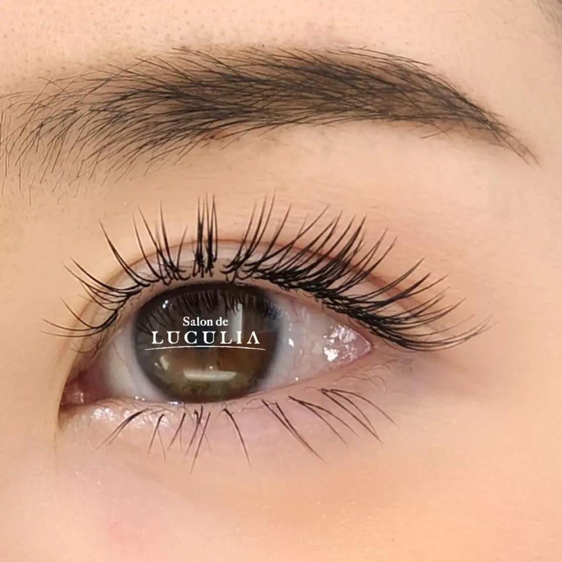 マツエク・マツパ eyelash MEGUのマツエク・マツパデザイン