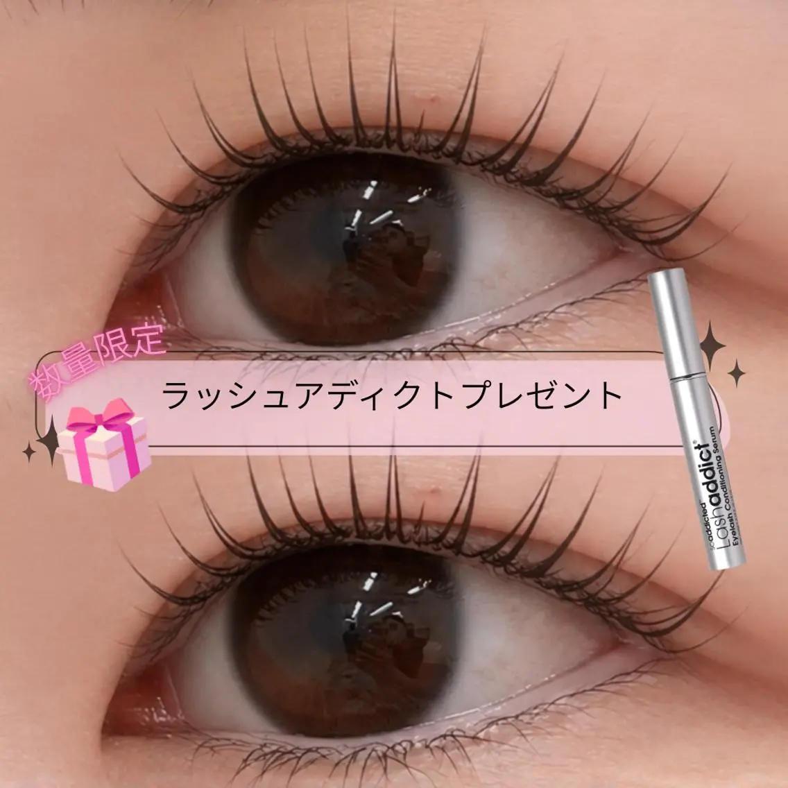 【数量限定】🎁ラッシュアディクト&似合わせまつ毛パーマ✨の写真
