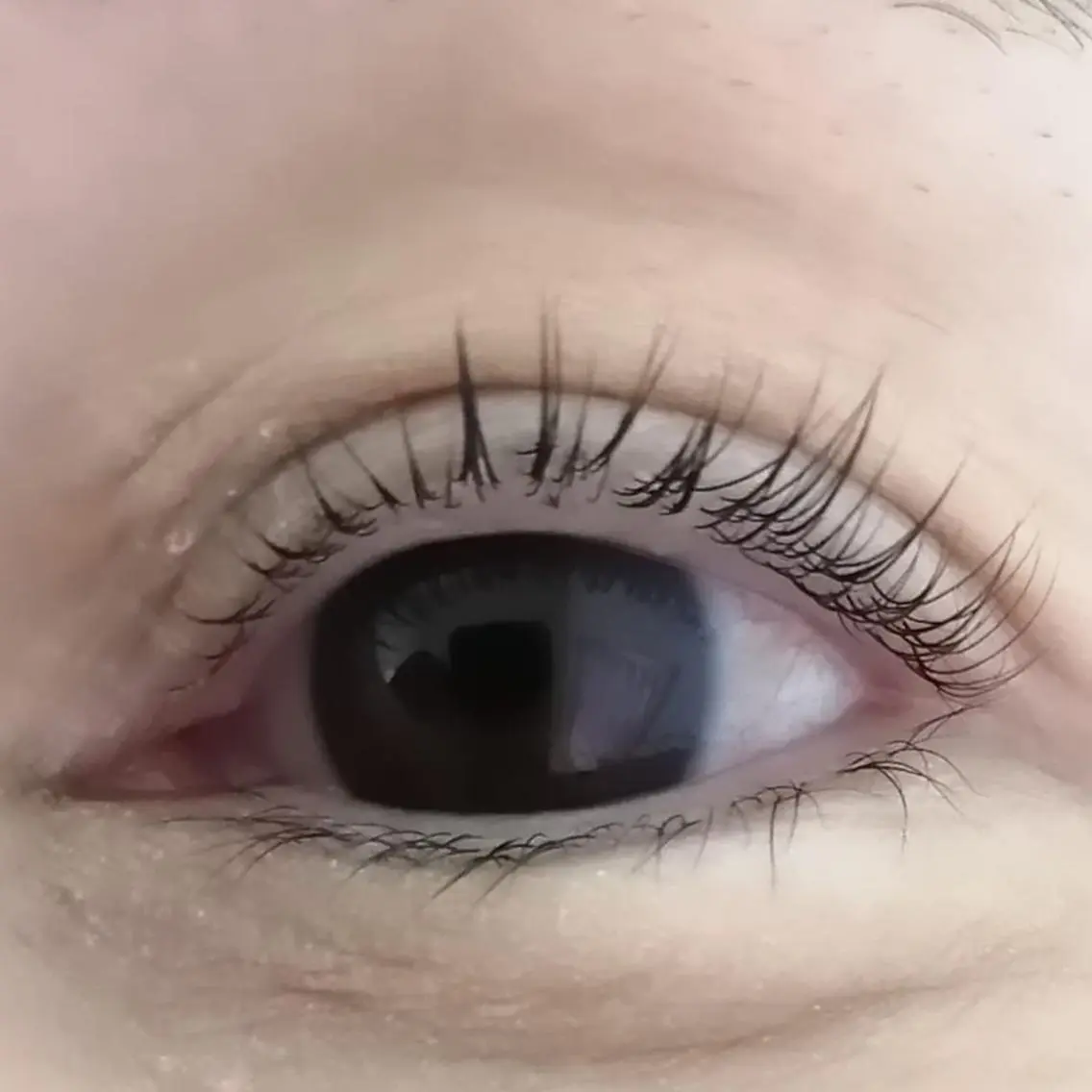 マツエク・マツパ パリジェンヌラッシュリフト eyelash Amourのマツエク・マツパデザイン