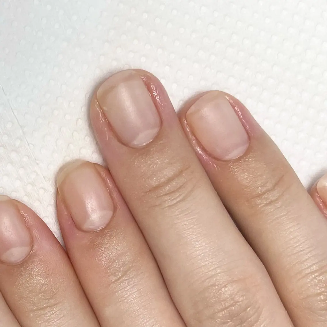 自然な爪に見える 自爪風クリアネイル(艶なし仕上げの自爪育成)オフなしの写真