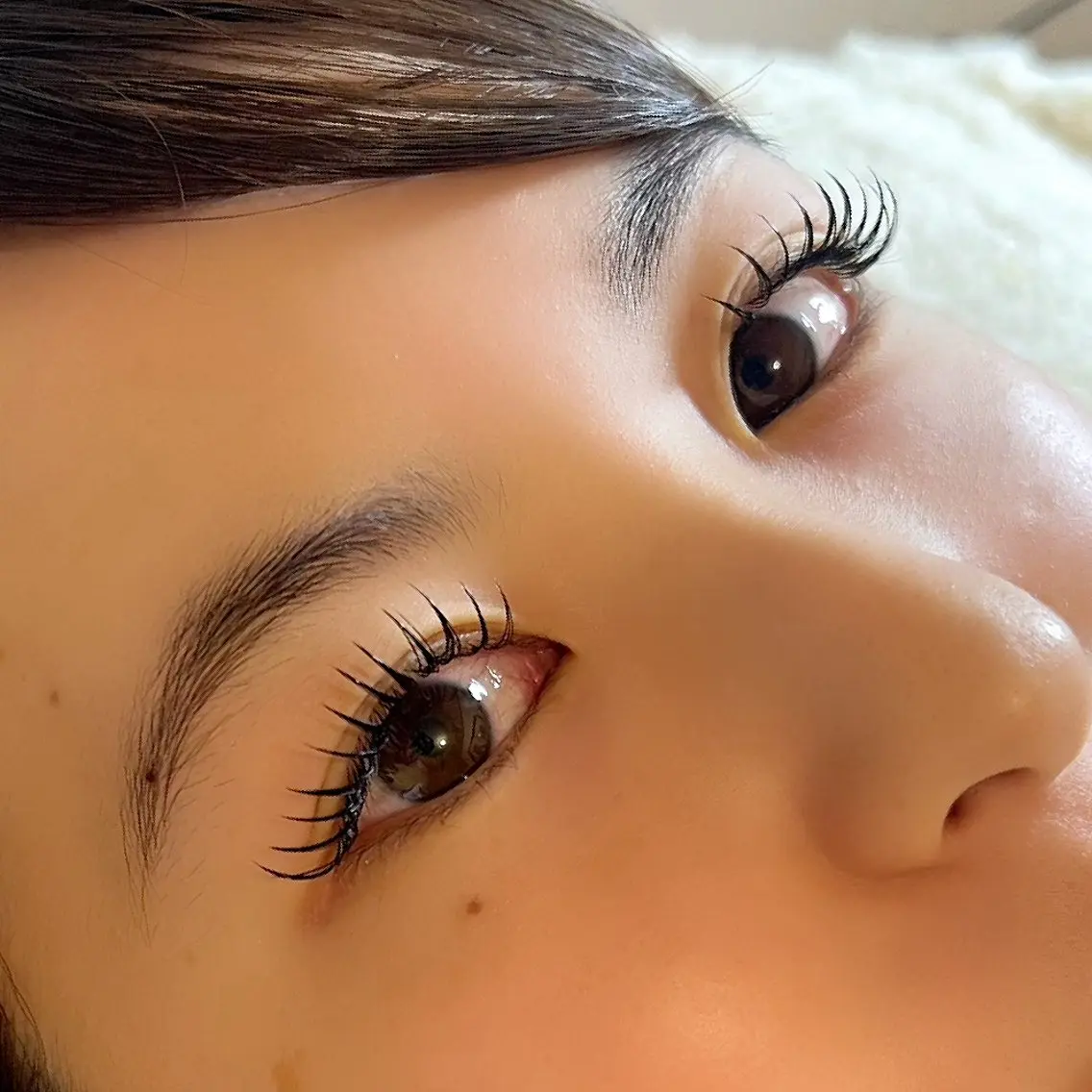 ダブルフラットラッシュ120束✴︎フラットラッシュでバインドします✴︎の写真