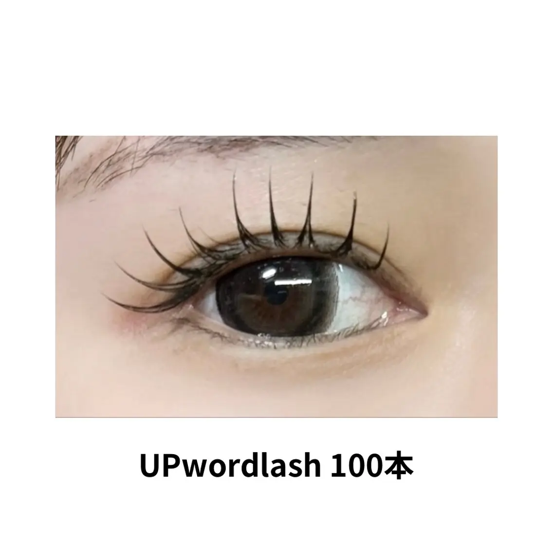 【2回目以降のお客様】アップワードラッシュ100本の写真
