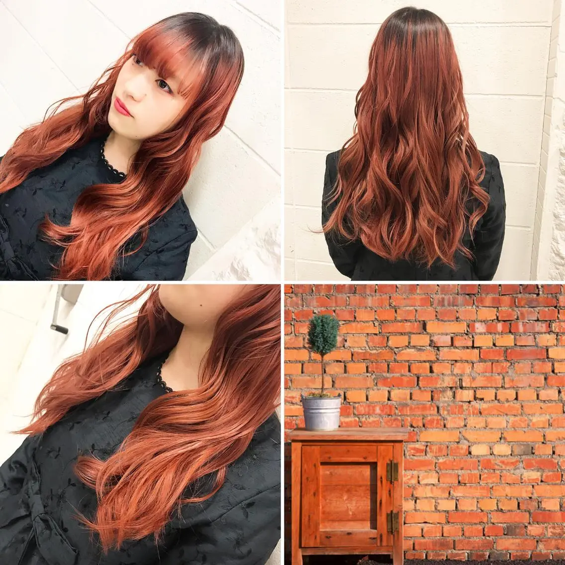 ロング カラー ヘアカラー トリートメント ✨️眉毛、派手髪、 ハイトーンShinの眉毛・アイブロウイメージ