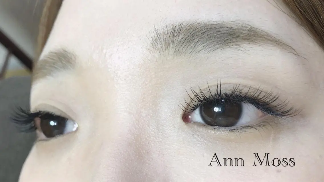 マツエク・マツパ 無料モデル募集中 Ann Mossのマツエク・マツパデザイン