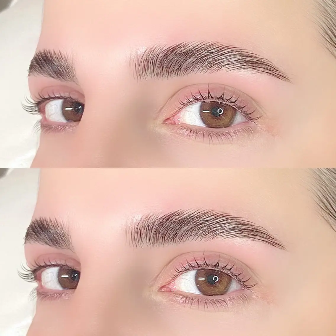 ハリウッドブロウリフト🌱眉wax付きの写真