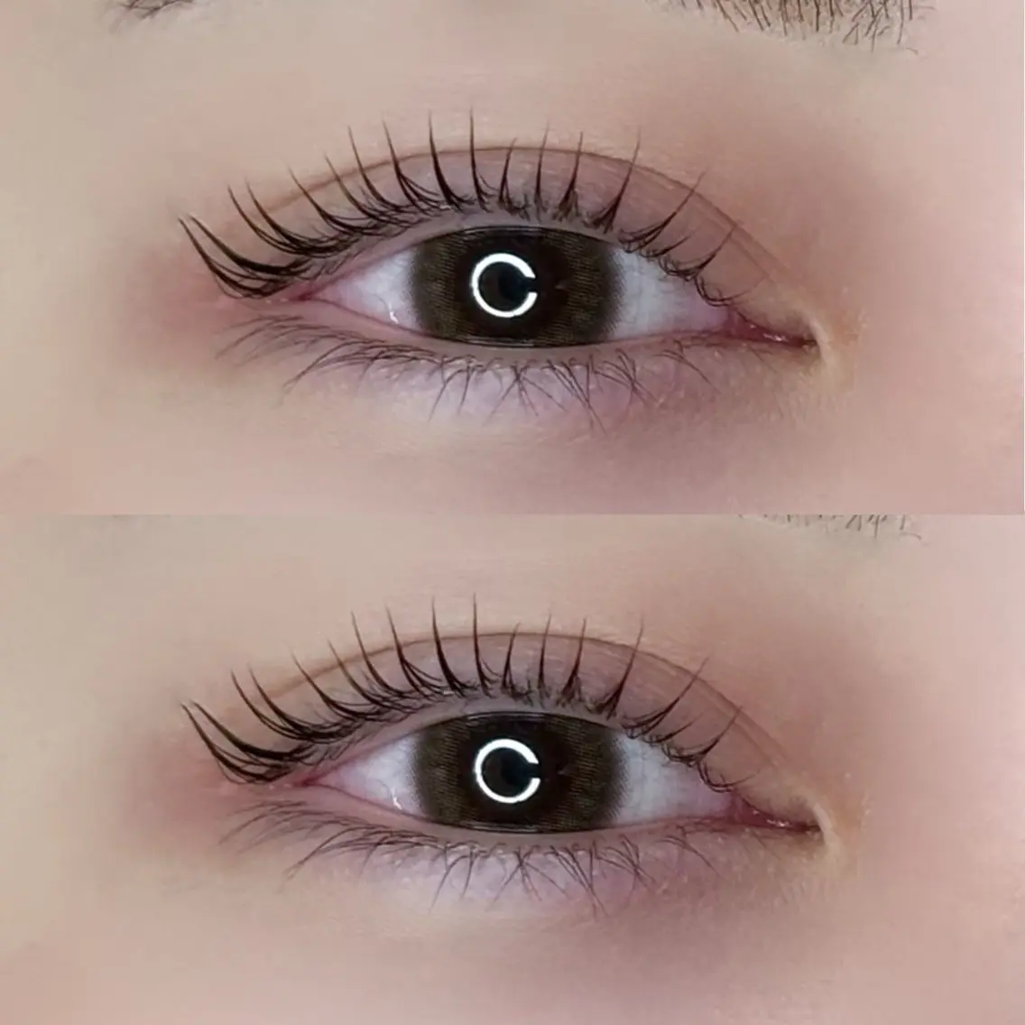 【パリジェンヌラッシュリフト🎀ྀི】♡2stepトリートメント＋アイシャンプー付き🫧の写真