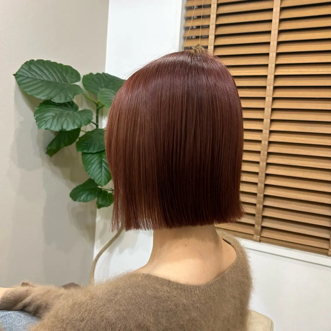 【初回限定価格】❄️艶カラー+1stepトリートメント❄️の写真