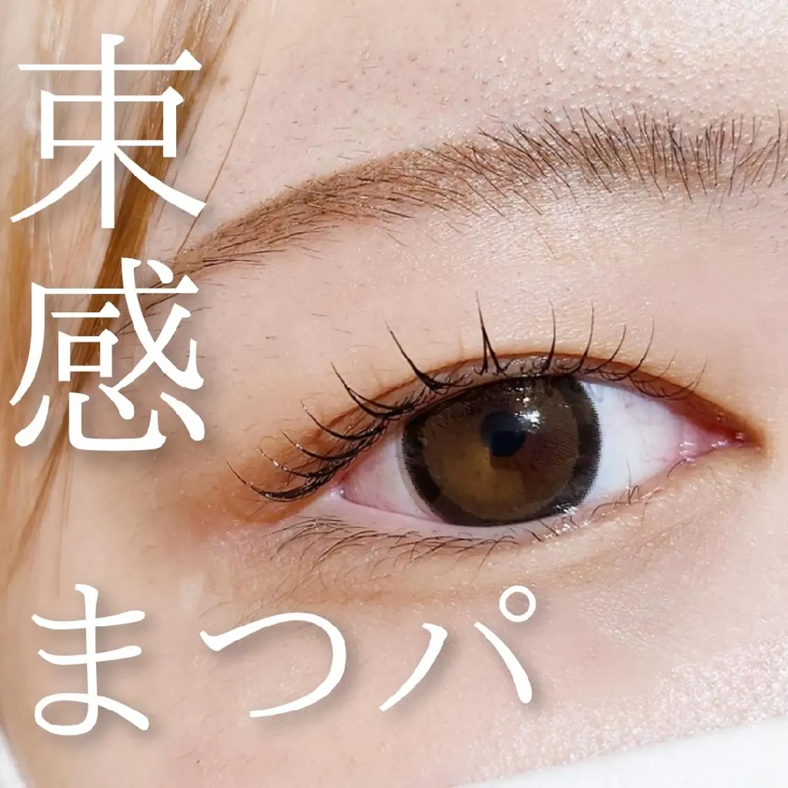 マツエク・マツパ 束感まつ毛 ワンホンマツエク 💜bora .のネイルデザイン