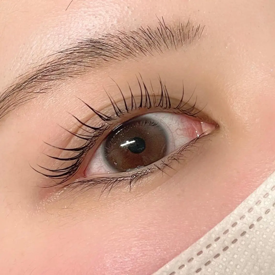 マツエク・マツパ ケラチンラッシュリフト EYEMAJIC Pure★高見の眉毛・アイブロウイメージ