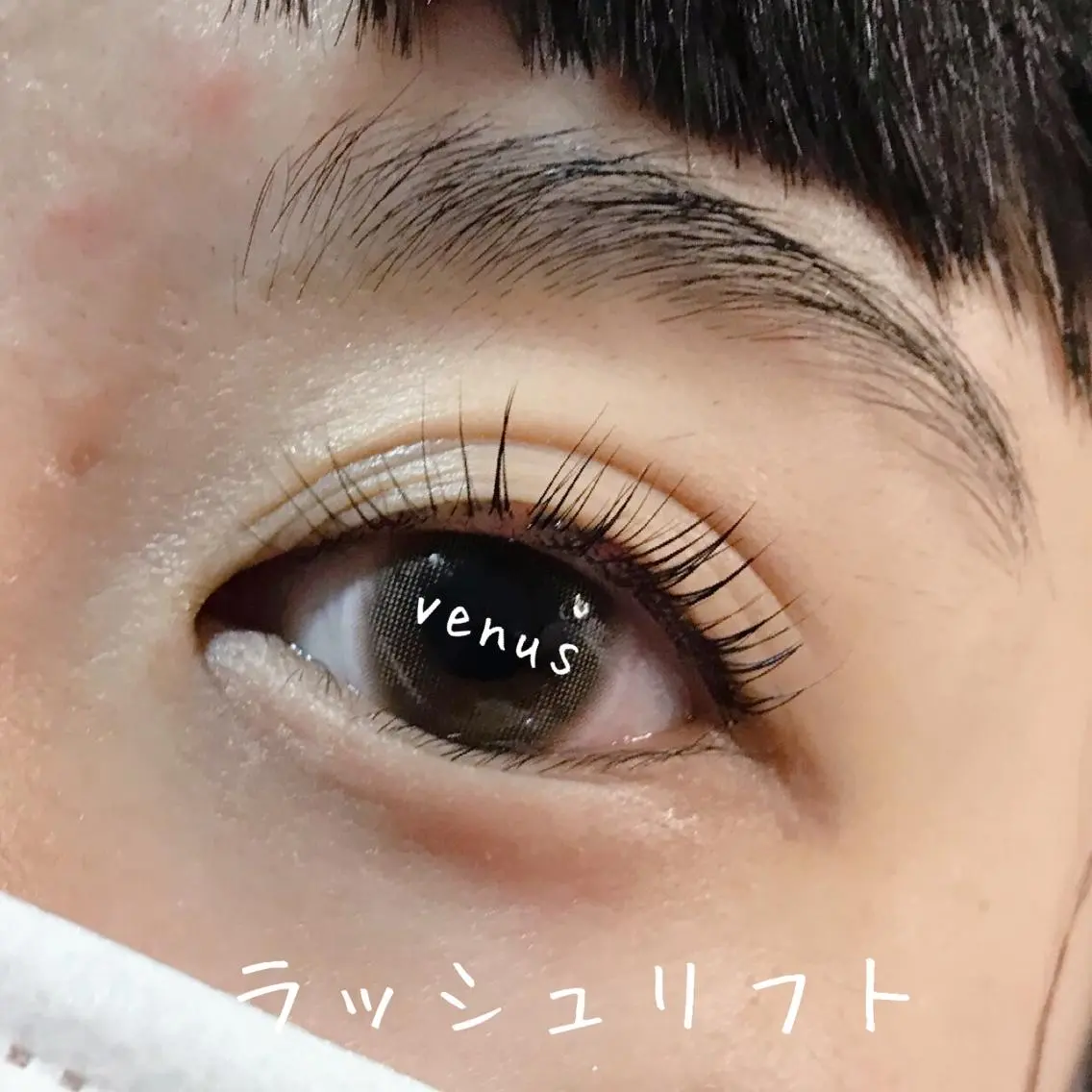 マツエク・マツパ eyelash catwinkのマツエク・マツパデザイン