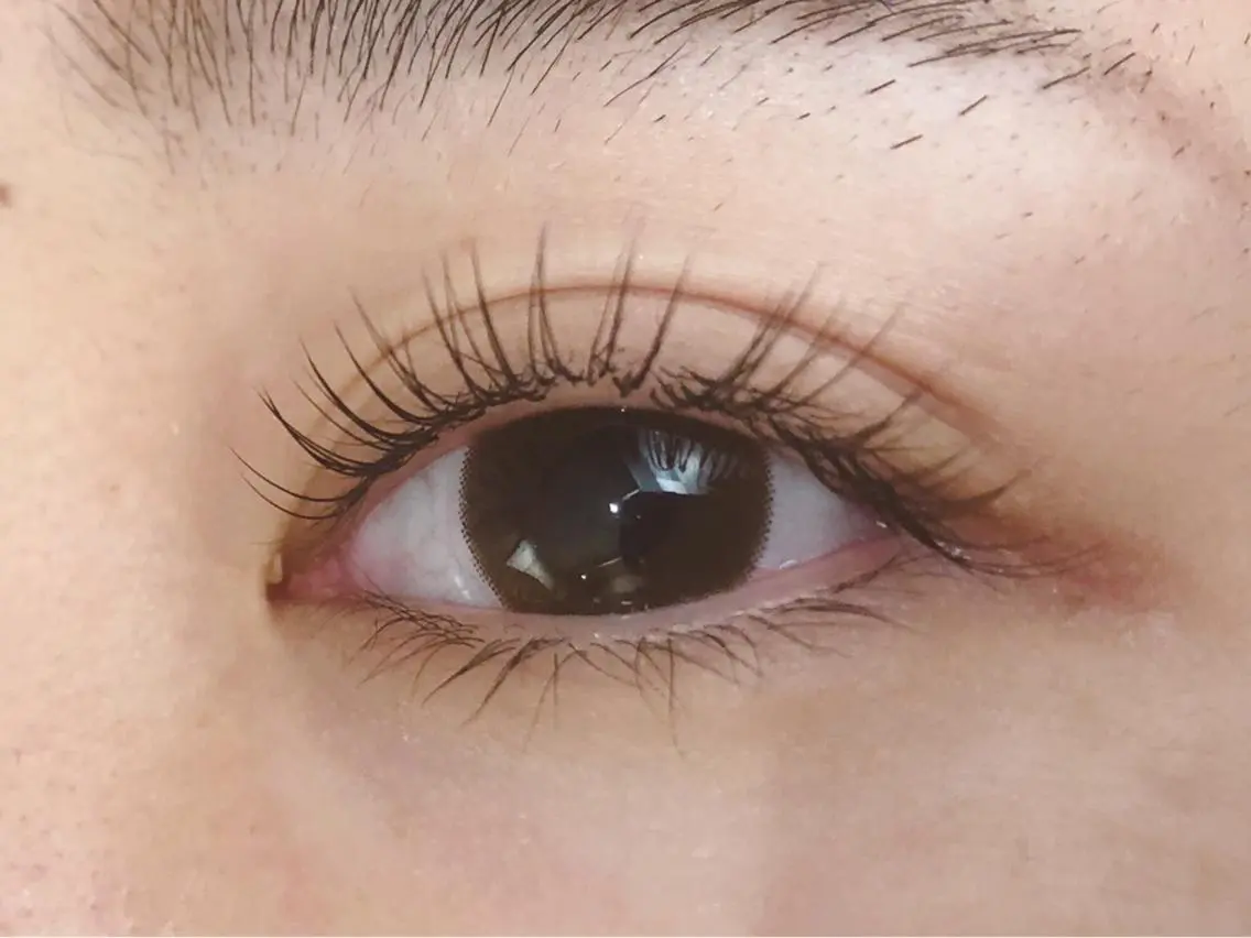 フラットラッシュ100本まで付け放題👀 (オフ込み)の写真