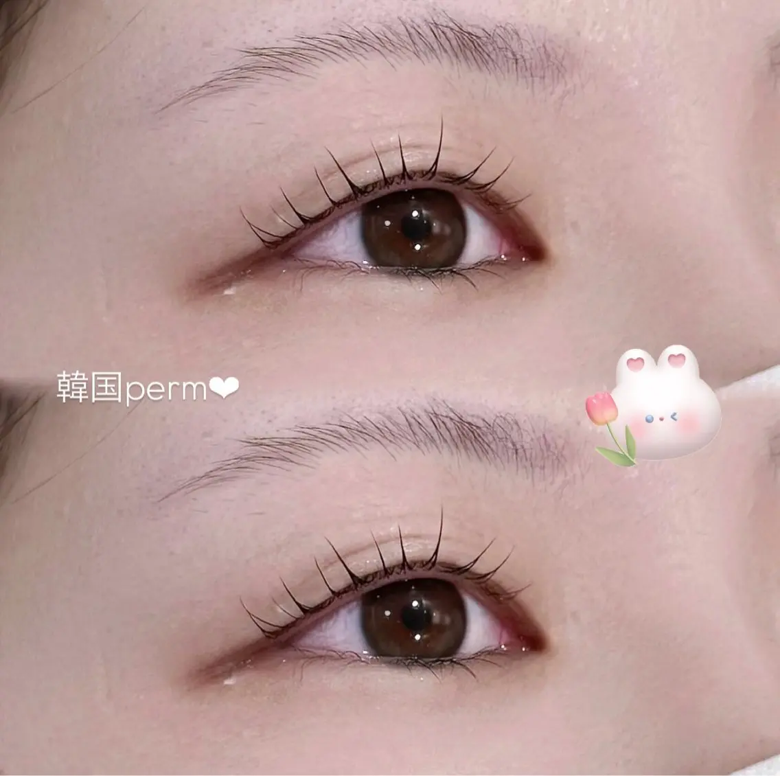 マツエク・マツパ マツパ まつげパーマ専門🎀 南草津🎀あやせ👀のマツエク・マツパデザイン