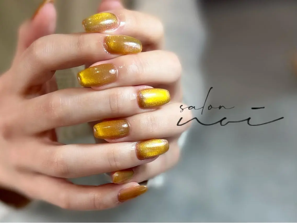 ネイル マグネットネイル ハンドネイル salon noiのネイルデザイン