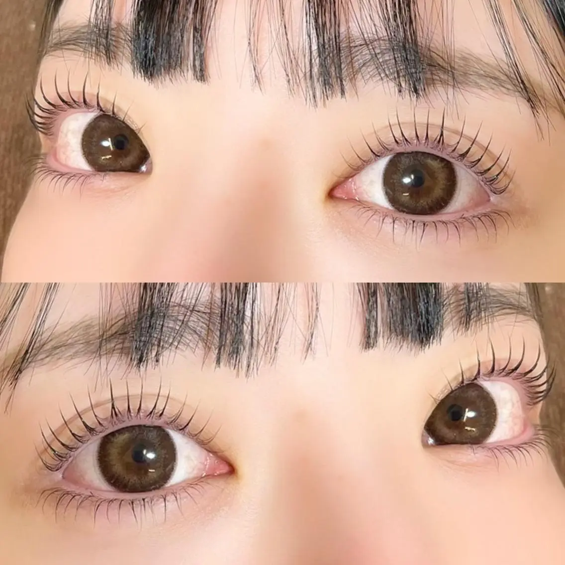 ♥︎限定特別価格♥︎上下【パリジェンヌorラッシュリフト】🎀の写真