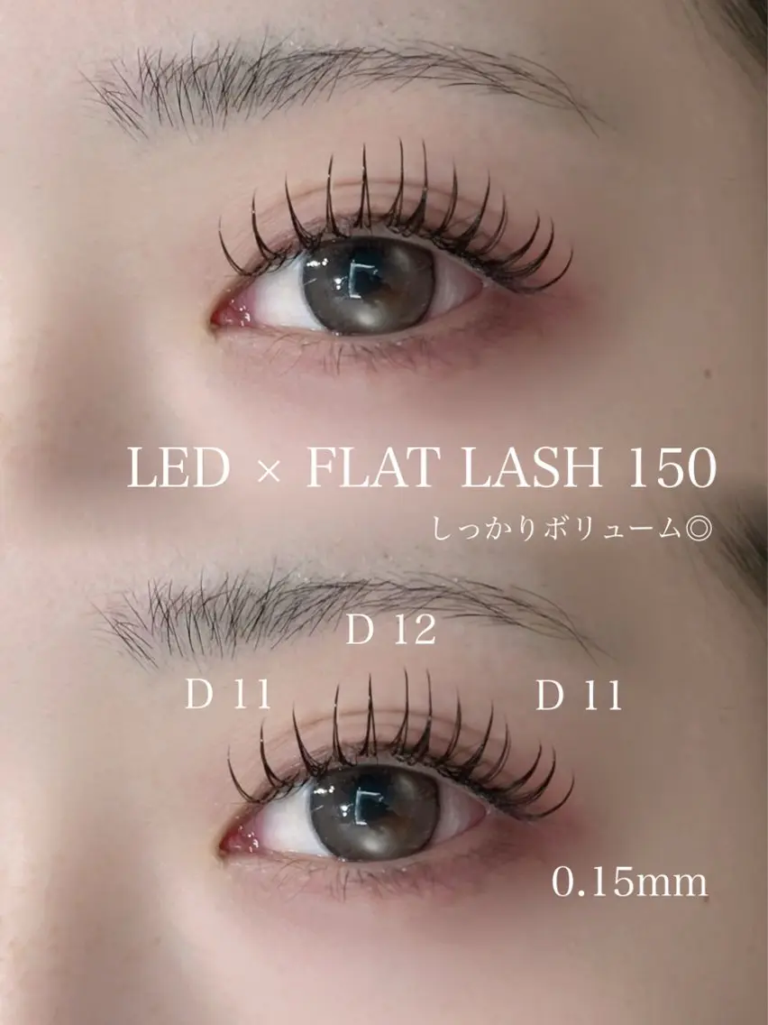 ✨【LED】✨フラットラッシュエクステモデル150本💫1日2名様限定‼️の写真