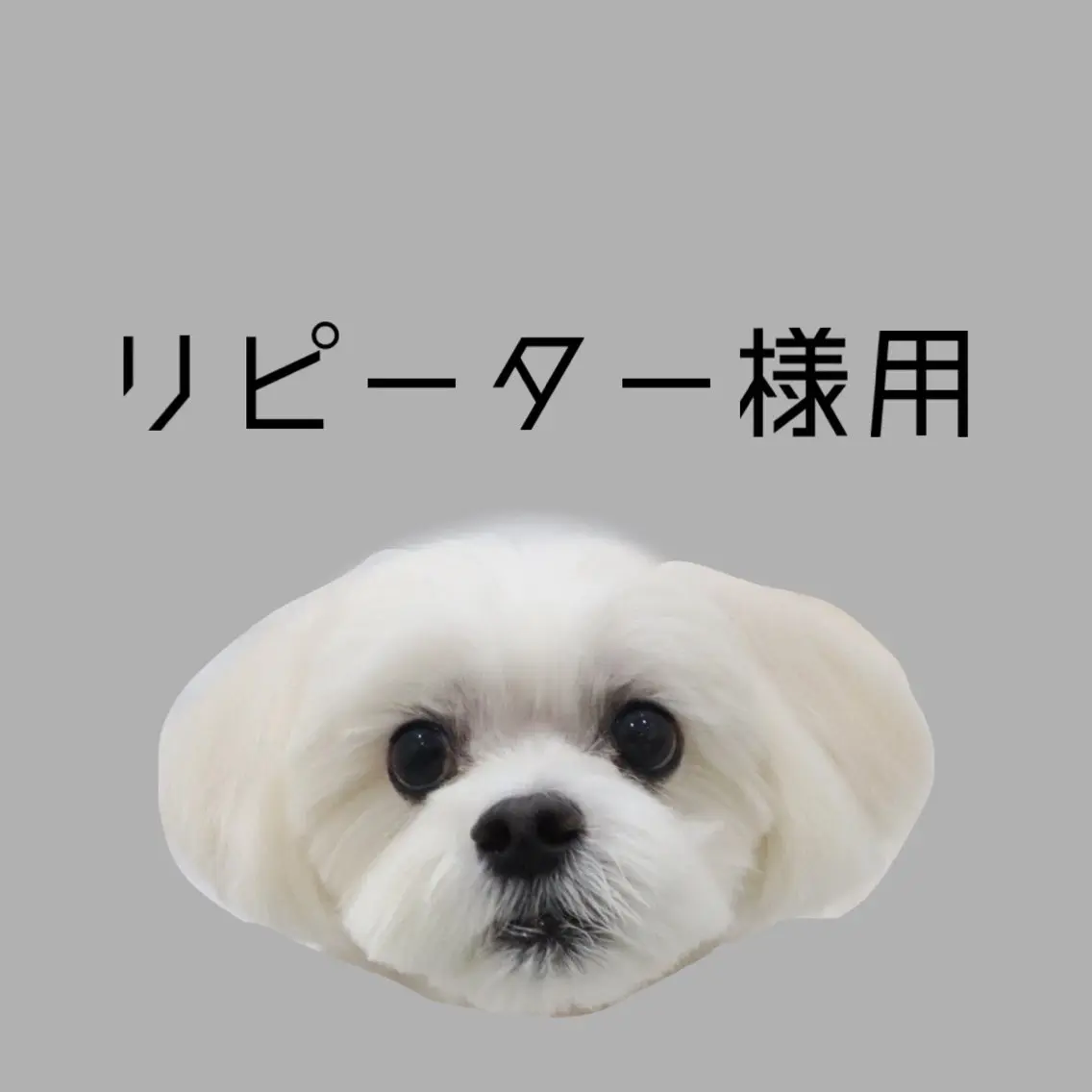 🌸リピーター様はこちらから🌸の写真
