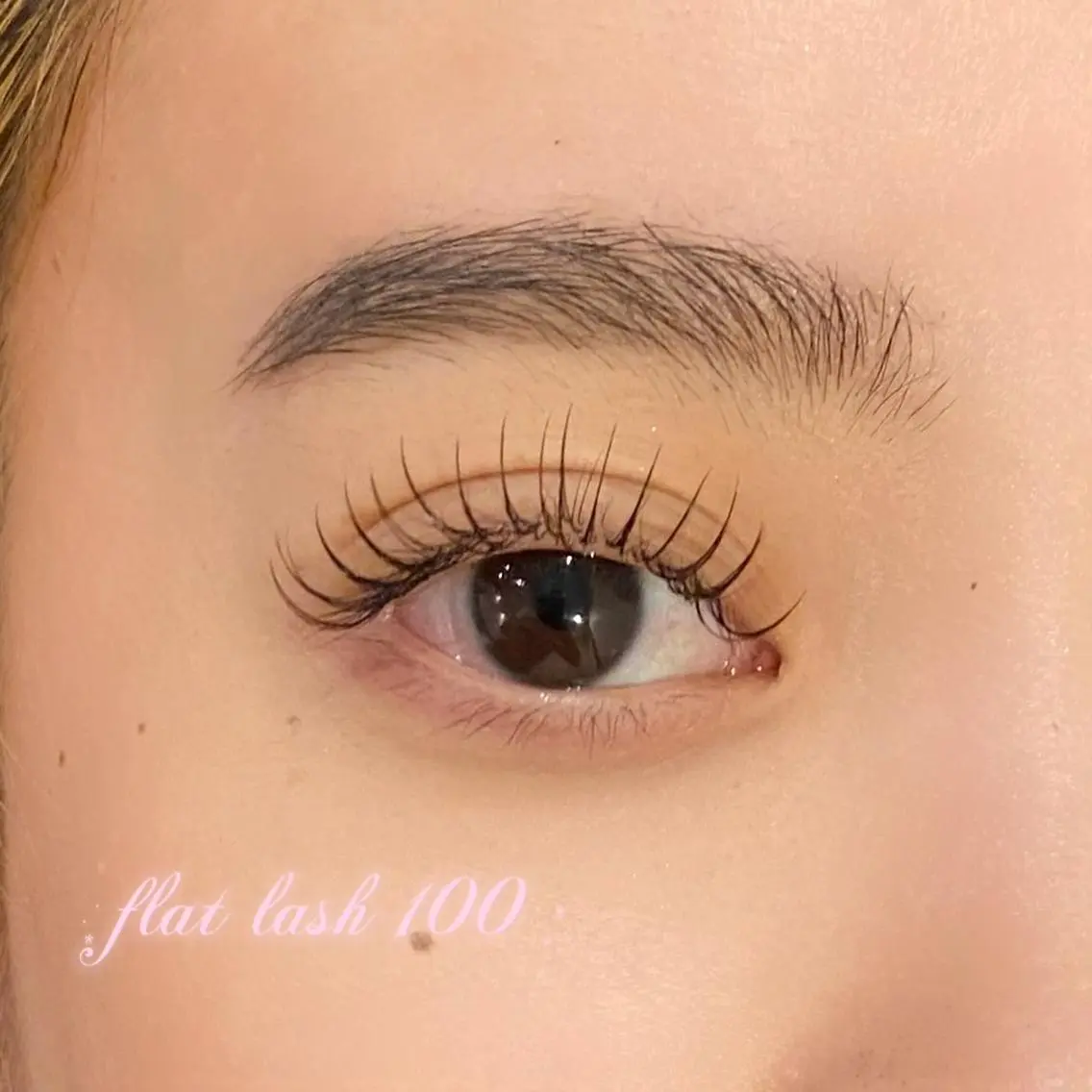 【Jrアイリスト限定】フラットラッシュ100本(オフ付き)⚠補足説明をご覧ください。の写真