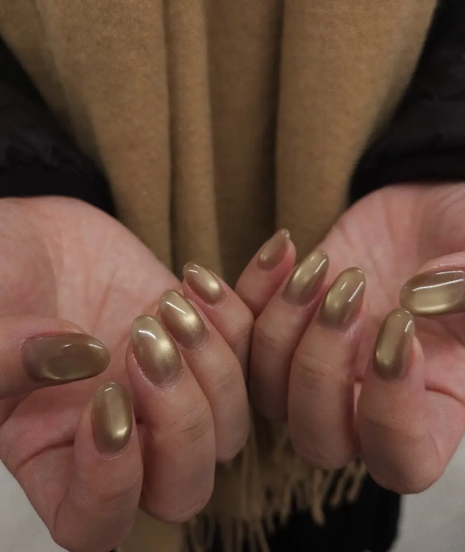ネイル ジェルネイル マグネットネイル ワンカラーネイル パラジェル 冬ネイル ハンドネイル puku nail 🌼kazu🌼のネイルデザイン
