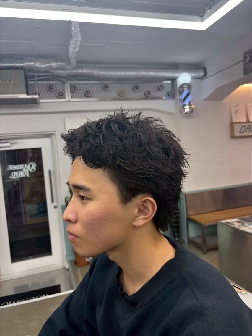 スパイキーショートモデルの写真