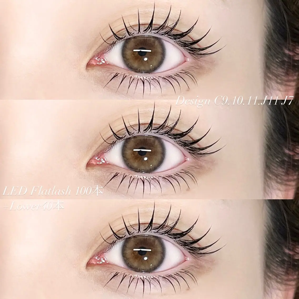 フラットラッシュ100本の写真