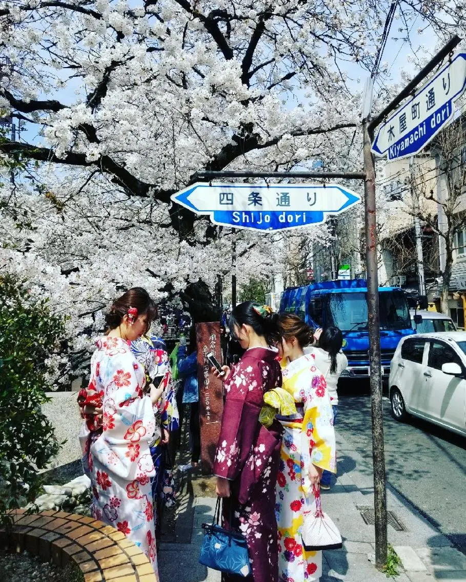 着物👘着付け+ヘアセット (着物ｺｰﾃﾞｨﾈｰﾄ&無料ﾚﾝﾀﾙございます🌸の写真