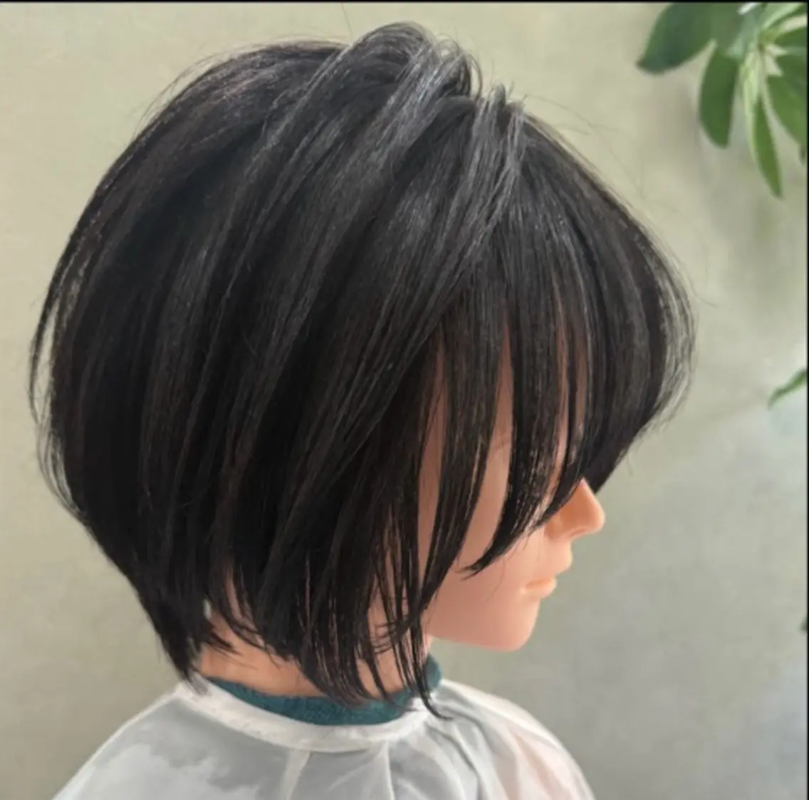 ショート ショートボブ ボブ ショートヘア 朝倉 大輝のヘアスタイル