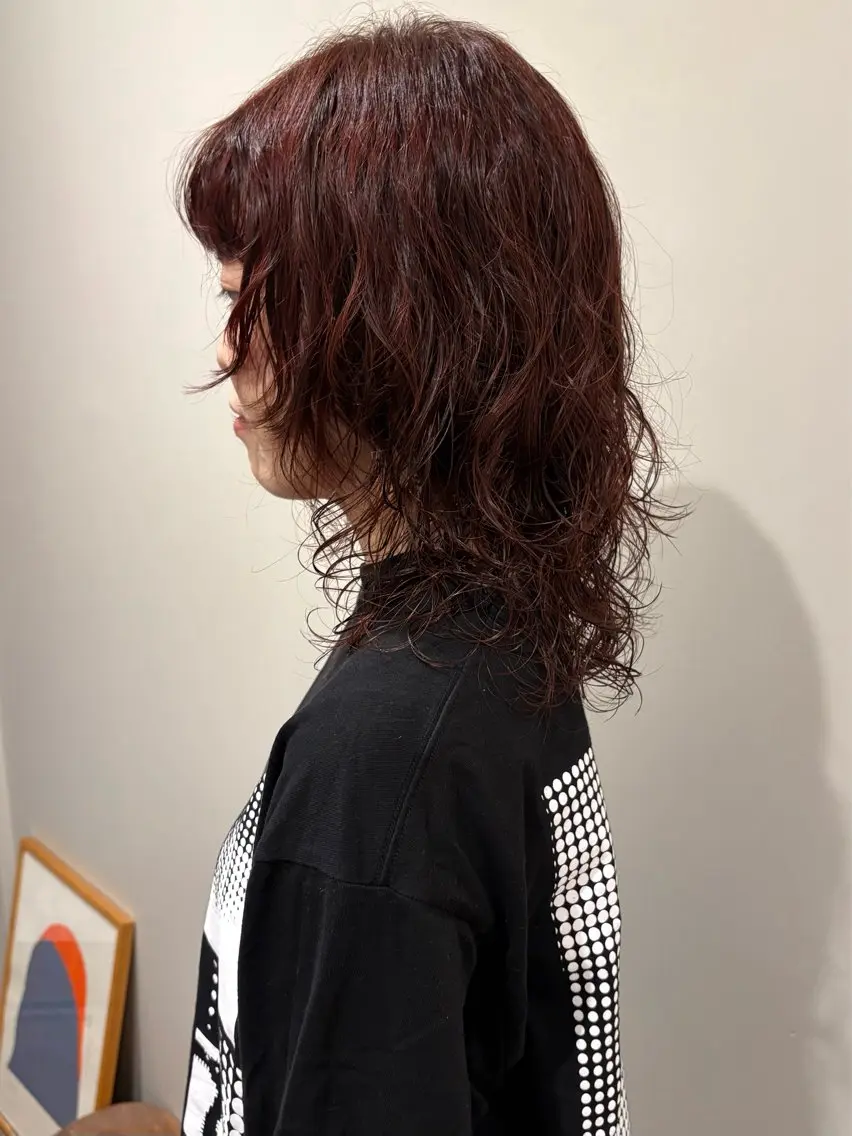 フルコースメニューの写真