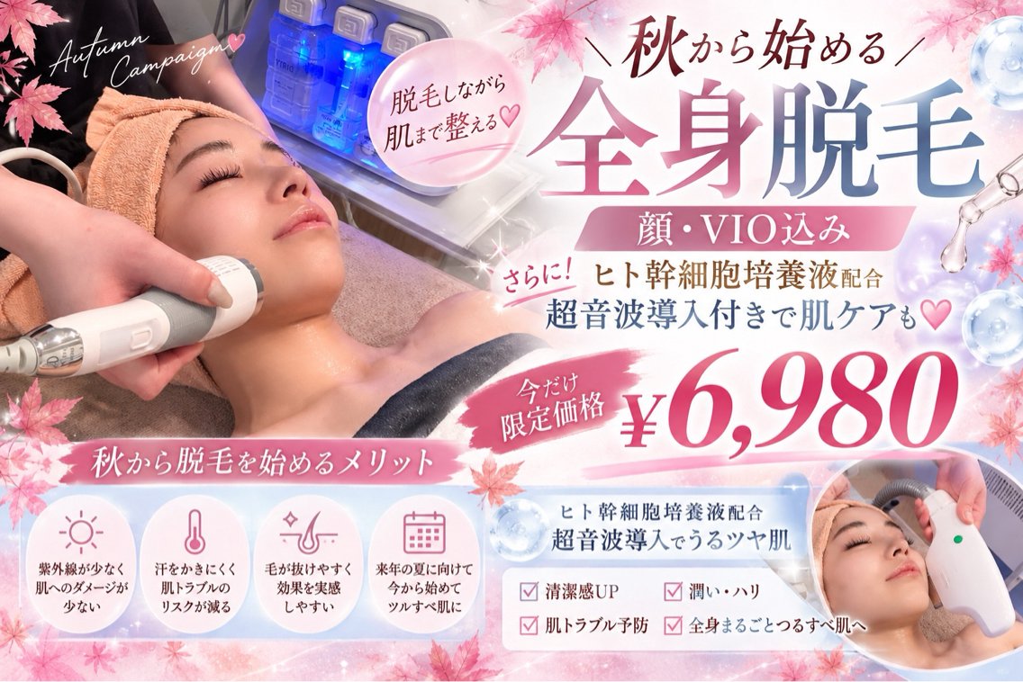 ladies超音波導入付き全身脱毛(顔/VIO込み)の写真