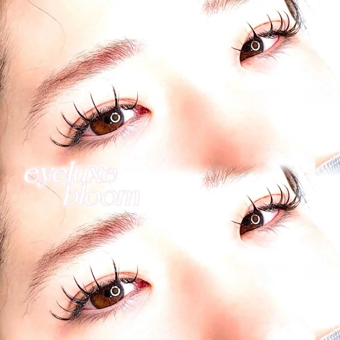 マツエク・マツパ eyeluxe bloom KANGのマツエク・マツパデザイン