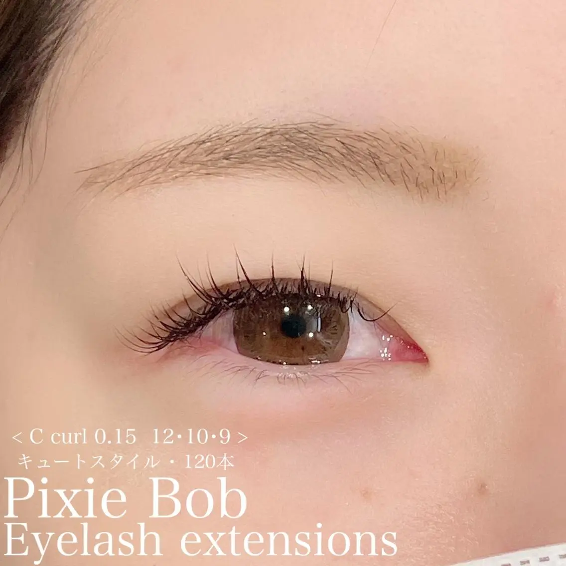 マツエク・マツパ キュート マツエク Pixie Bob 🐈‍⬛　位田のマツエク・マツパデザイン