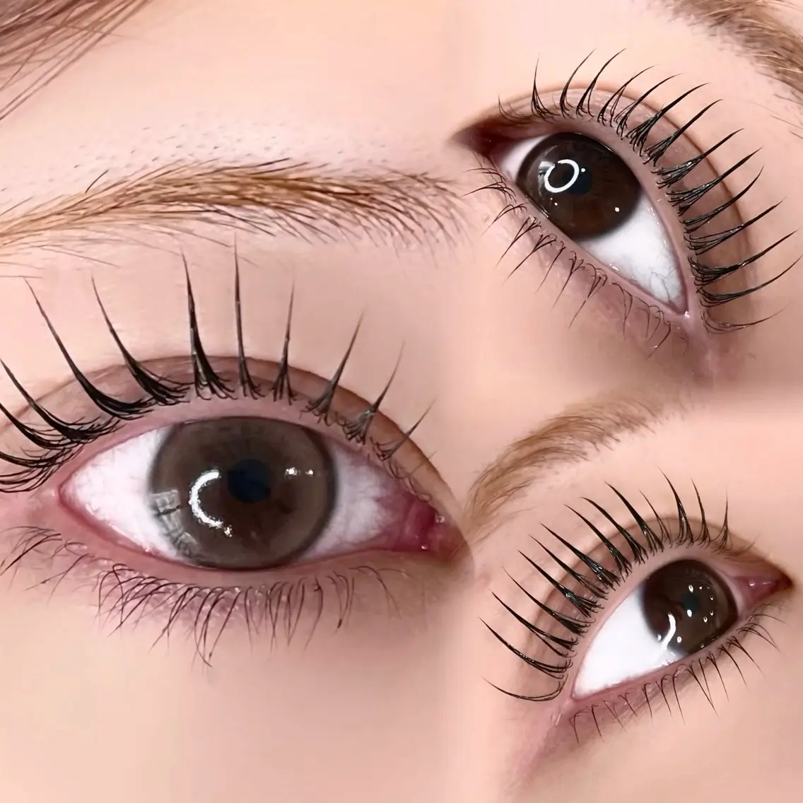 マツエク・マツパ Rose Lash hiyoriのマツエク・マツパデザイン