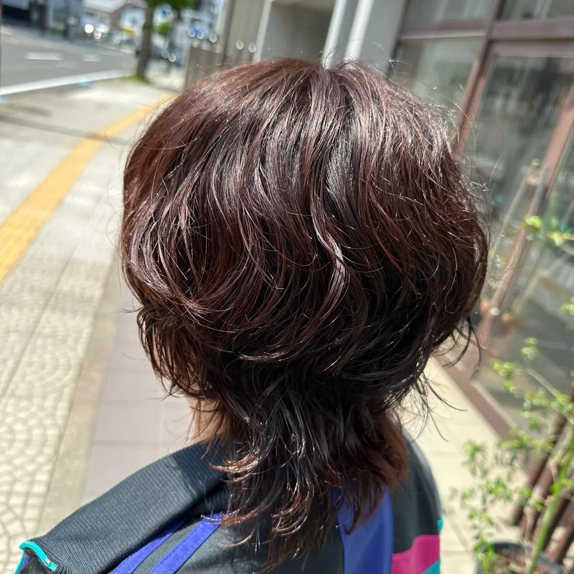 ショート パーマ ウルフカット 💜推しインナー カラー/菊池柊真💜のヘアスタイル