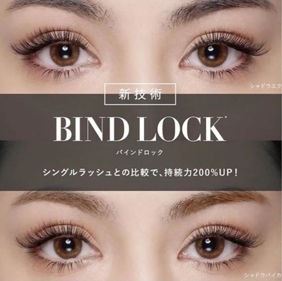 🕯バインドロック80束+アイシャンプー付の写真