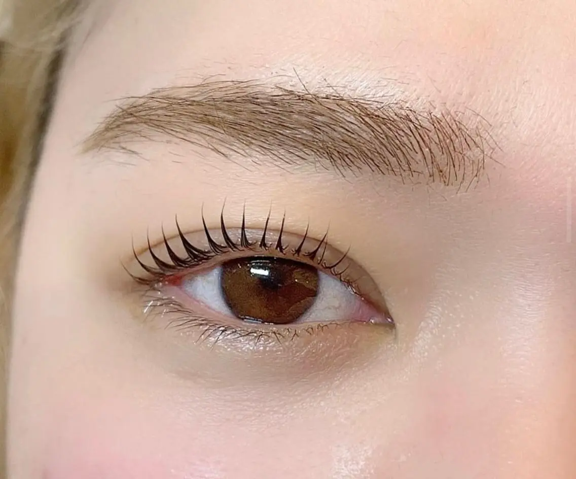 ❤︎無料モデルまつ毛パーマ❤︎エクステオフ不可⚠️の写真