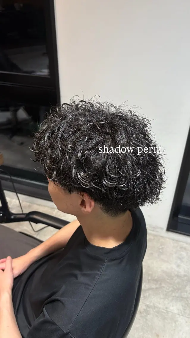 パーマ 槇野 皓介のヘアスタイル