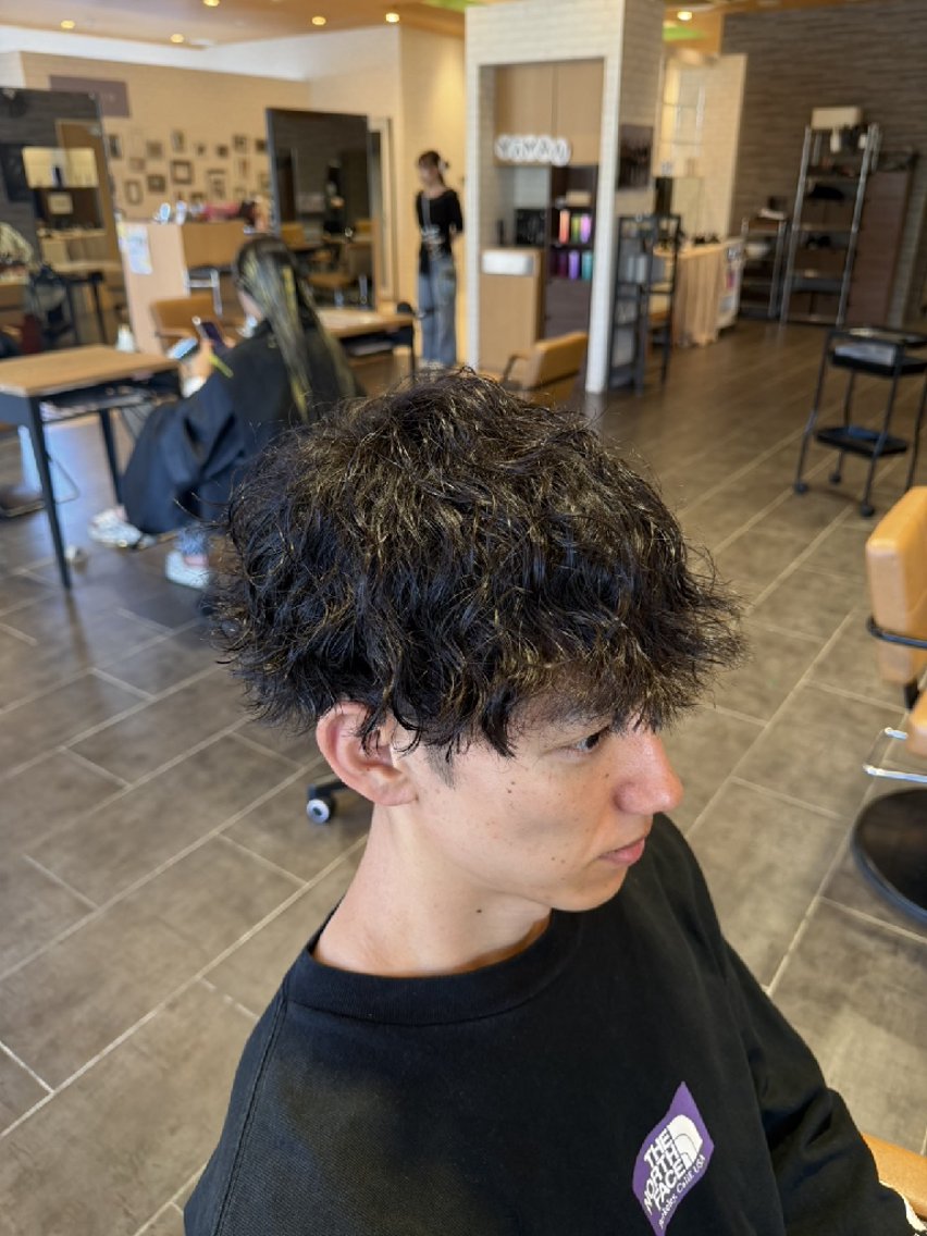メンズ パーマ 18歳最速美容師 /羽田野紗可のヘアスタイル