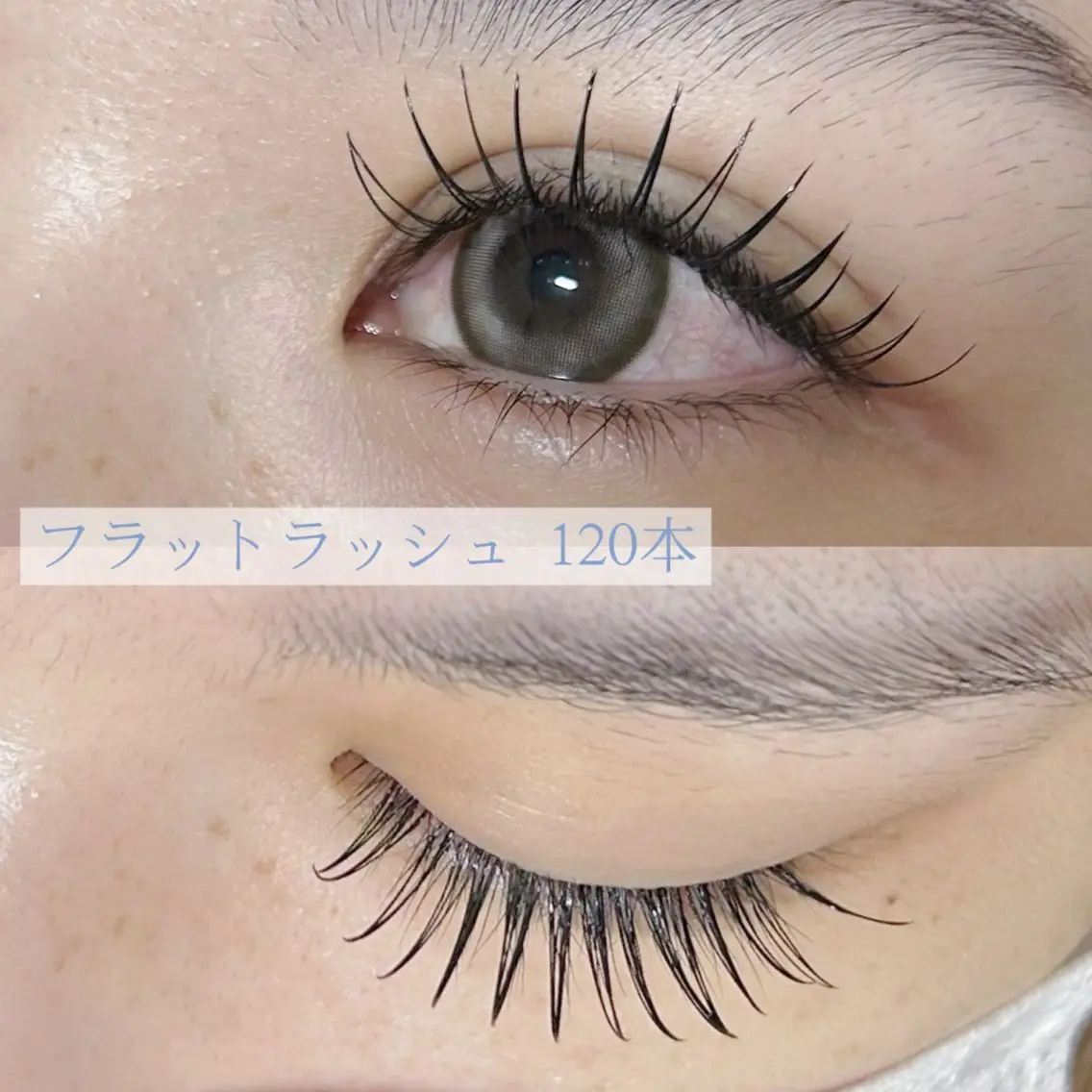 フラットラッシュ120本の写真