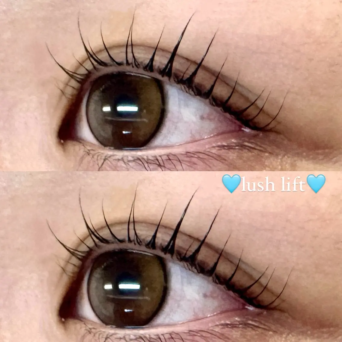 🌈ラッシュリフト・カール🌈コーティング仕上げ付き✨の写真