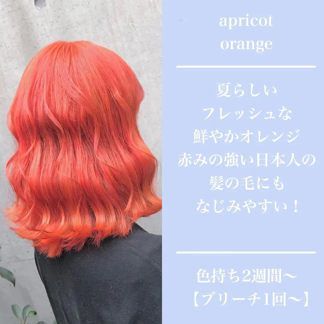 ミディアム カラー ヘアアレンジ アッシュ アッシュグレー ベージュカラー 黒髪 ブリーチ 💕ブリーチ/ヘアメ 🎀YUUKAのヘアスタイル