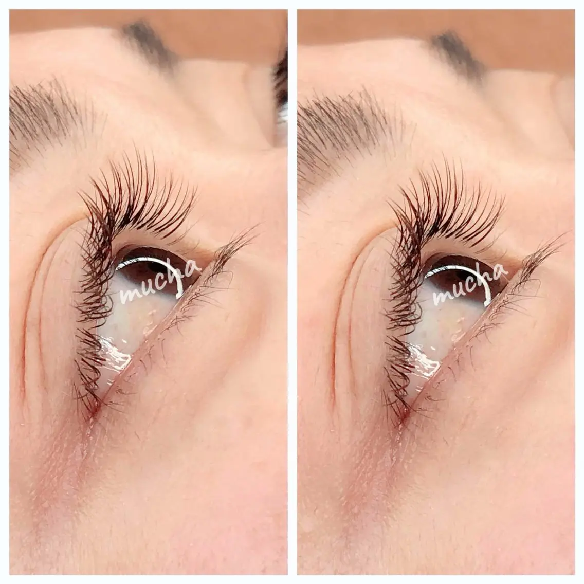 マツエク・マツパ フラットラッシュ eyelash muchaのマツエク・マツパデザイン