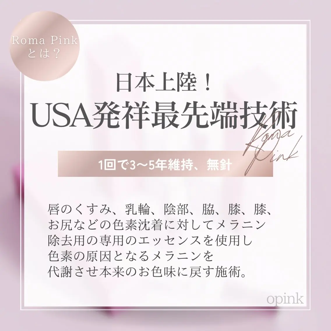 美人スイッチdiet スーパージェクションのその他イメージ