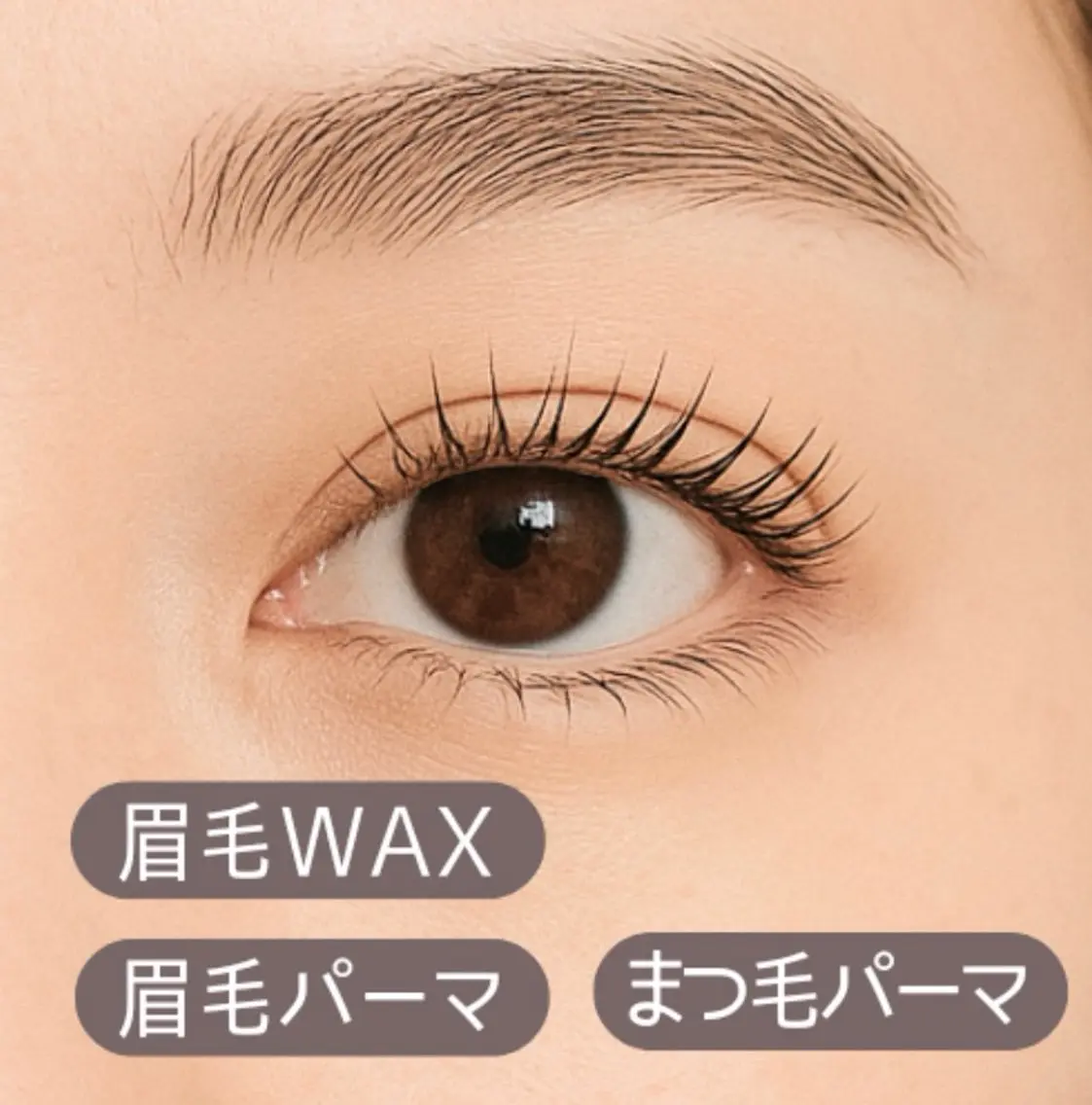 マツエク・マツパ マツパ Purna NAIL&EYEのマツエク・マツパデザイン